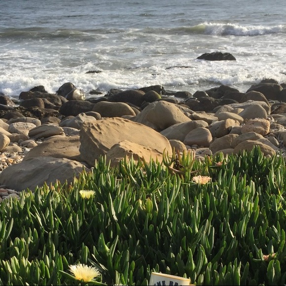 Welcome to my closet! - Picture 2 of 5